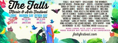 The Falls Music and Arts Festival
